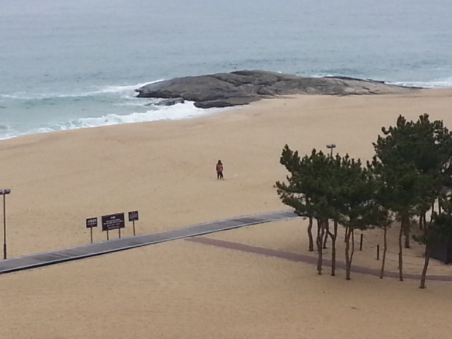 20150319_090715.jpg