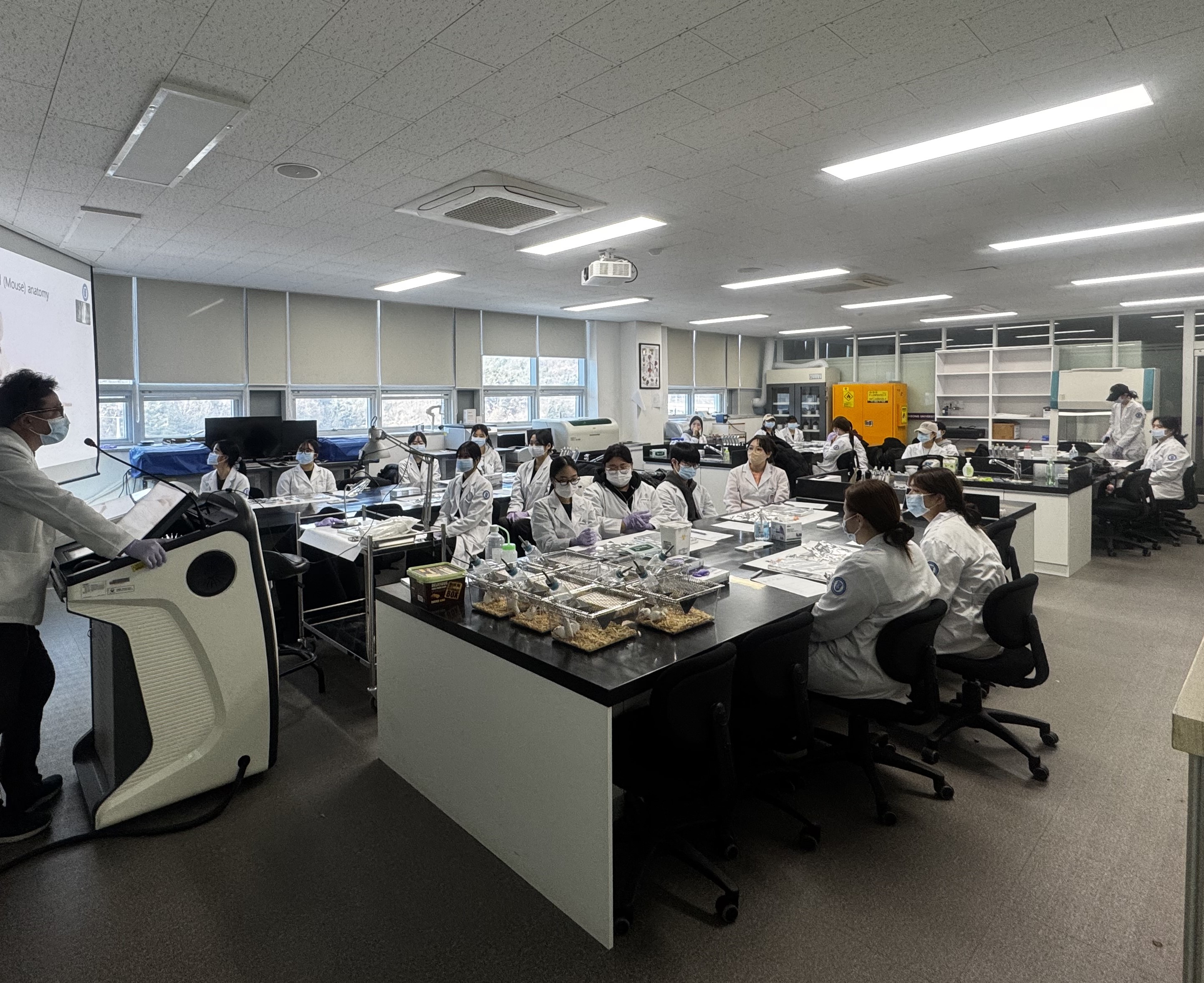 2025 Annual Mouse Dissection Lab